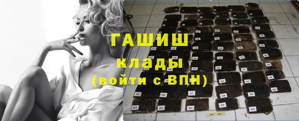 сатива Каменка