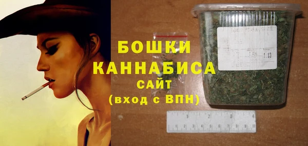 сатива Каменка
