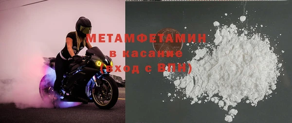 сатива Каменка