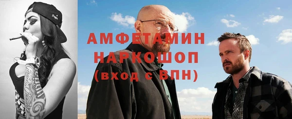 сатива Каменка