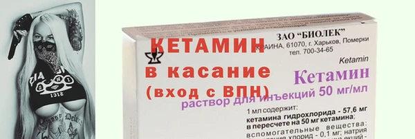 сатива Каменка
