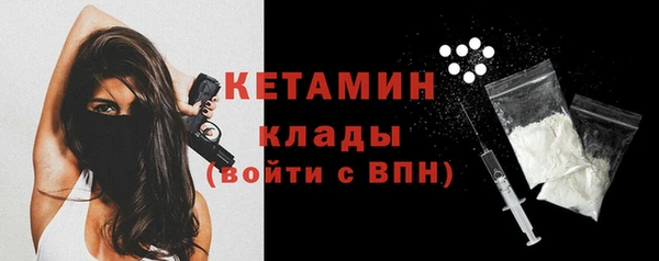 сатива Каменка