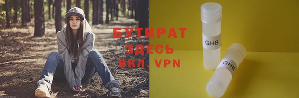 сатива Каменка
