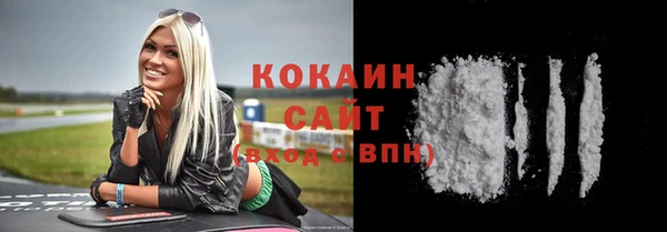 сатива Каменка