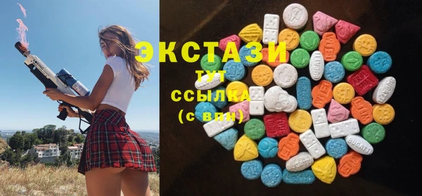 сатива Каменка
