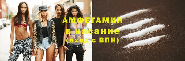 сатива Каменка