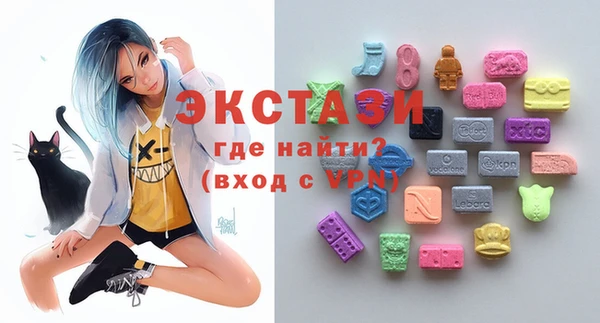 сатива Каменка