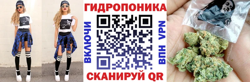 Бошки Шишки планчик  Купить где  Еманжелинск 